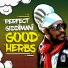 Perfect Giddimani, Jimmy Splif Sound