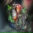 Lighght