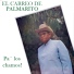 El Carrao de Palmarito