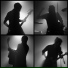 Zoo Harmonics
