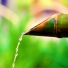 zen remastering