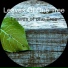 Leaves Of One Tree