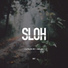 No:lan