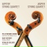 Jupiter String Quartet, Jasper String Quartet