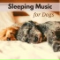 Sleeping Dogs Music