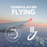 Flying