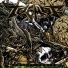 Tremor