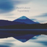 Pavel Fedorov
