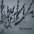 Soul Dissolution