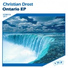Christian Drost