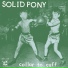 Solid Pony