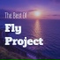 Fly Projekt