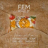 F.E.M
