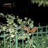 LAFOTE