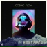 Cosmic Flow