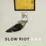 Slow Riot