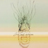 Oceanspeak