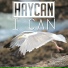 Haycan