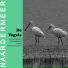 De Vogels