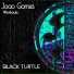 Joao Gomes