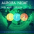 Aurora Night