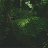 ambiente, Reiki Music, Native American Flute
