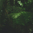 ambiente, Reiki Music, Native American Flute