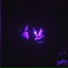 Rooky030
