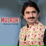 Shahzad Hashmi