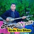 Grup Özçelik
