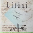 LEV-H-ART