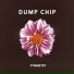 Dump Chip