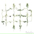 Blommor Inomhus