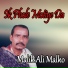 Malik Ali Malko
