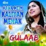 Gulaab