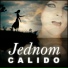 Calido