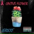 Jerico