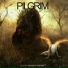 Pilgrim