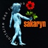 Sakaryn
