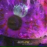 Galexy