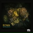 ROWA