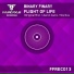Binary Finary