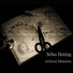 Sebas Honing