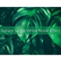 White noise effect