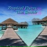 Tropical Flyerz