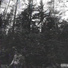 Hlorofill