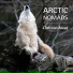 New Age Music and New Sounds Vol 10