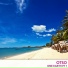 Otso