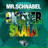 Mr. Schnabel