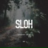 No:lan
